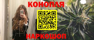 амф Кингисепп