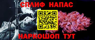 амф Кингисепп
