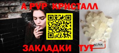 амф Кингисепп